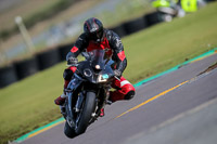 PJ-Motorsport-2019;anglesey-no-limits-trackday;anglesey-photographs;anglesey-trackday-photographs;enduro-digital-images;event-digital-images;eventdigitalimages;no-limits-trackdays;peter-wileman-photography;racing-digital-images;trac-mon;trackday-digital-images;trackday-photos;ty-croes